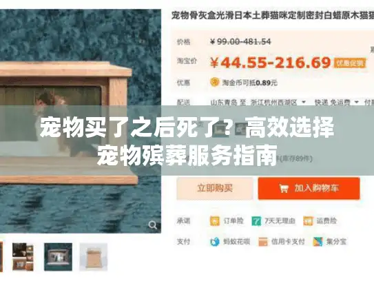 宠物买了之后死了？高效选择宠物殡葬服务指南