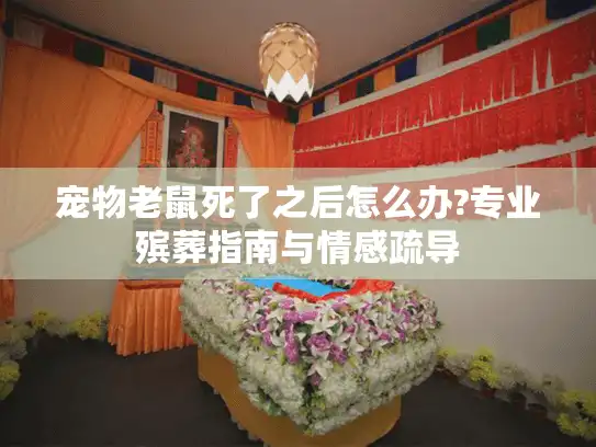 宠物老鼠死了之后怎么办?专业殡葬指南与情感疏导