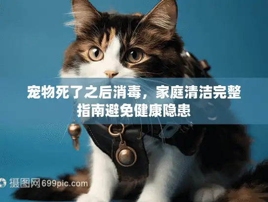 宠物死了之后消毒,家庭清洁完整指南避免健康隐患 宠物死了之后消毒,家庭清洁完整指南避免健康隐患