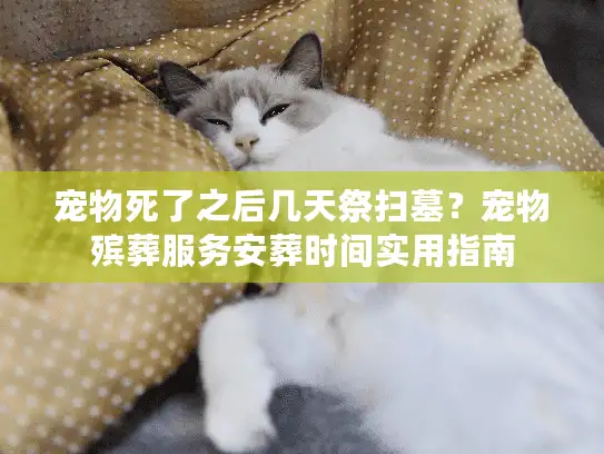 宠物死了之后几天祭扫墓？宠物殡葬服务安葬时间实用指南