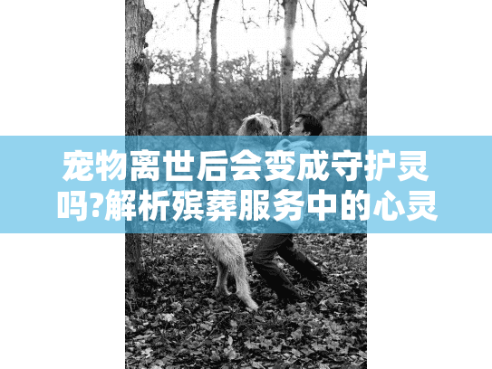 宠物离世后会变成守护灵吗?解析殡葬服务中的心灵慰藉与科学认知