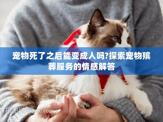 宠物死了之后能变成人吗?探索宠物殡葬服务的情感解答