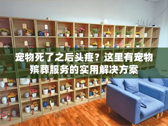 宠物死了之后头疼？这里有宠物殡葬服务的实用解决方案