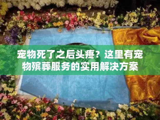 宠物死了之后头疼？这里有宠物殡葬服务的实用解决方案