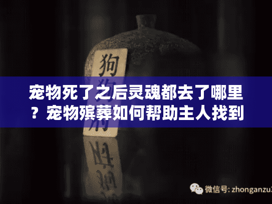 宠物死了之后灵魂都去了哪里?宠物殡葬如何帮助主人找到情感慰藉 宠物死了之后灵魂都去了哪里?宠物殡葬如何帮助主人找到情感慰藉