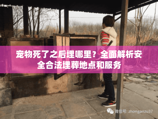宠物死了之后埋哪里?全面解析安全合法埋葬地点和服务 宠物死了之后埋哪里?全面解析安全合法埋葬地点和服务