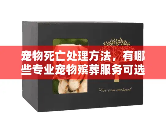 宠物死亡处理方法,有哪些专业宠物殡葬服务可选? 宠物死亡处理方法,有哪些专业宠物殡葬服务可选?