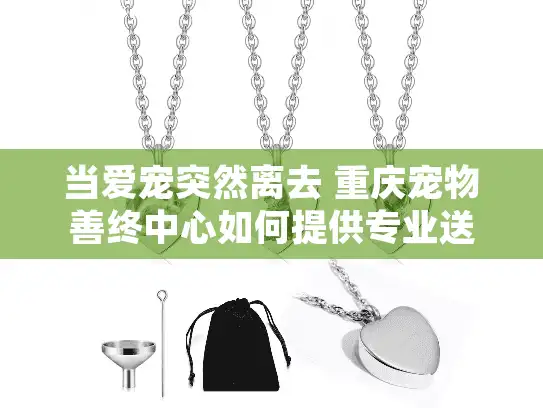 当爱宠突然离去 重庆宠物善终中心如何提供专业送别？完整流程指南