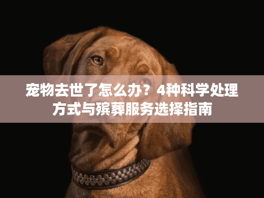 宠物去世了怎么办？4种科学处理方式与殡葬服务选择指南