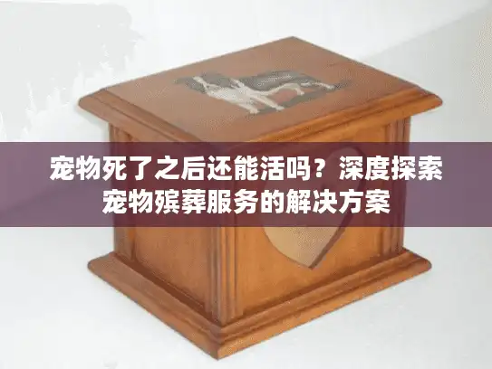 宠物死了之后还能活吗？深度探索宠物殡葬服务的解决方案