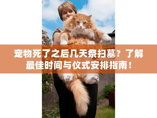 宠物死了之后几天祭扫墓?了解最佳时间与仪式安排指南! 宠物死了之后几天祭扫墓?了解最佳时间与仪式安排指南!