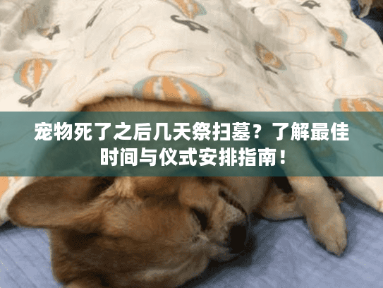 宠物死了之后几天祭扫墓?了解最佳时间与仪式安排指南! 宠物死了之后几天祭扫墓?了解最佳时间与仪式安排指南!