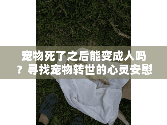 宠物死了之后能变成人吗？寻找宠物转世的心灵安慰