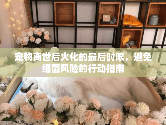 宠物离世后火化的最后时限，避免细菌风险的行动指南