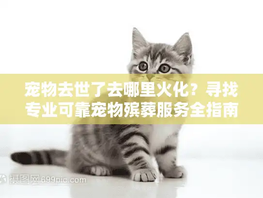 宠物去世了去哪里火化？寻找专业可靠宠物殡葬服务全指南