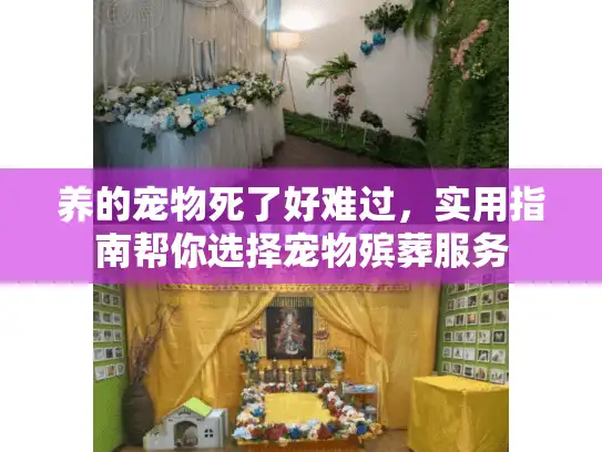 养的宠物死了好难过，实用指南帮你选择宠物殡葬服务
