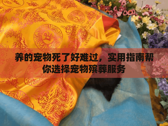 养的宠物死了好难过，实用指南帮你选择宠物殡葬服务