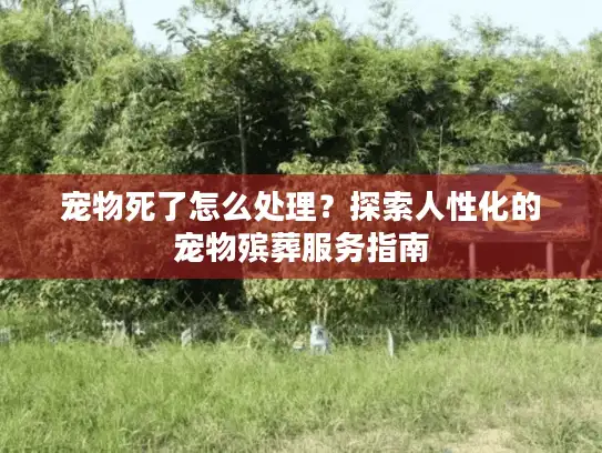 宠物死了怎么处理?探索人性化的宠物殡葬服务指南 宠物死了怎么处理?探索人性化的宠物殡葬服务指南