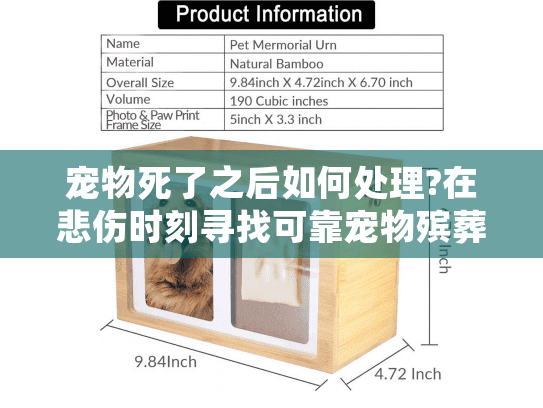 宠物死了之后如何处理?在悲伤时刻寻找可靠宠物殡葬服务的实用指南