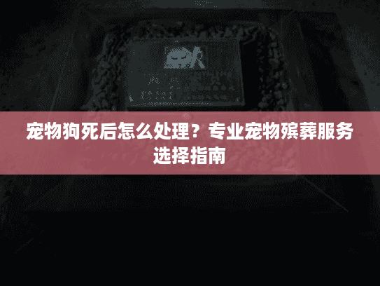 宠物狗死后怎么处理?专业宠物殡葬服务选择指南 宠物狗死后怎么处理?专业宠物殡葬服务选择指南