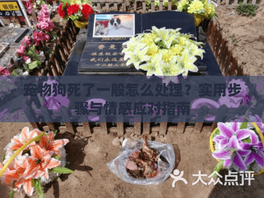 宠物狗死了一般怎么处理？实用步骤与情感应对指南