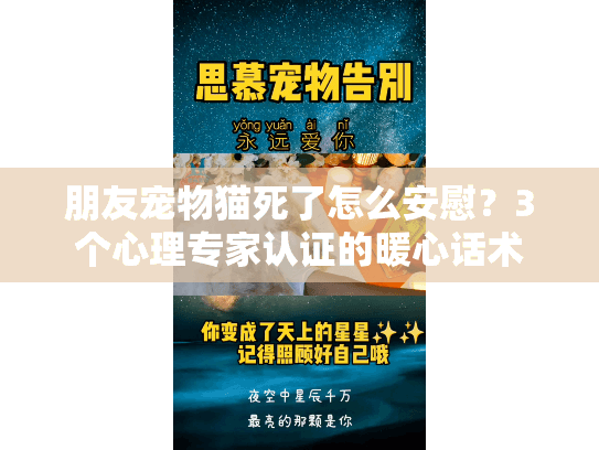 朋友宠物猫死了怎么安慰？3个心理专家认证的暖心话术