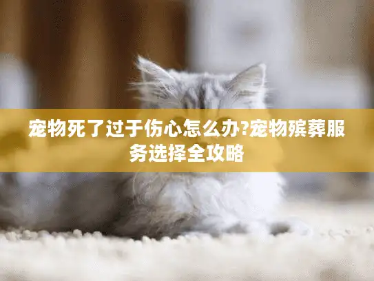宠物死了过于伤心怎么办?宠物殡葬服务选择全攻略