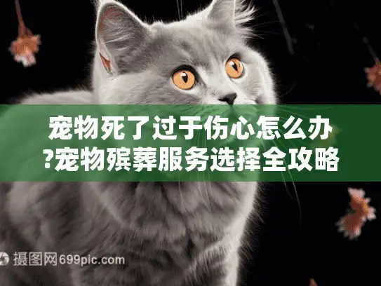 宠物死了过于伤心怎么办?宠物殡葬服务选择全攻略