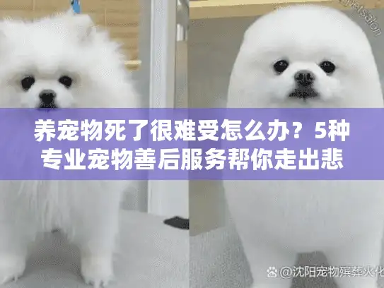 养宠物死了很难受怎么办?5种专业宠物善后服务帮你走出悲伤 养宠物死了很难受怎么办?5种专业宠物善后服务帮你走出悲伤