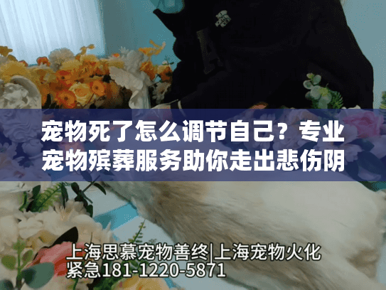 宠物死了怎么调节自己？专业宠物殡葬服务助你走出悲伤阴影