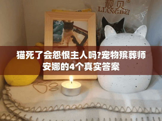 猫死了会怨恨主人吗?宠物殡葬师安娜的4个真实答案