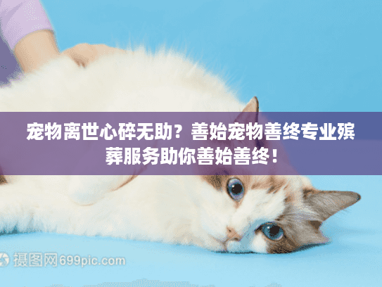 宠物离世心碎无助?善始宠物善终专业殡葬服务助你善始善终! 宠物离世心碎无助?善始宠物善终专业殡葬服务助你善始善终!