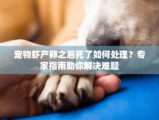 宠物虾产卵之后死了如何处理？专家指南助你解决难题