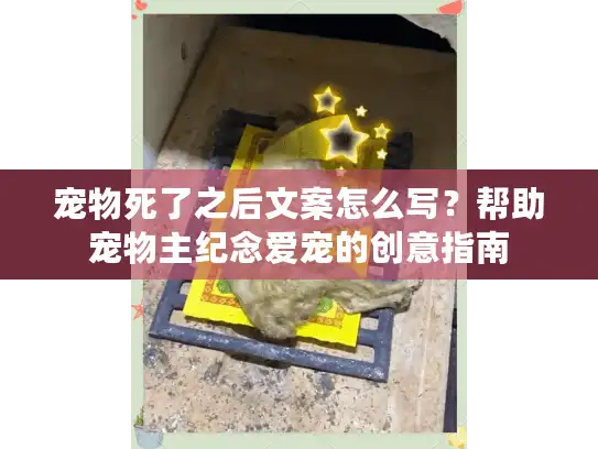 宠物死了之后文案怎么写？帮助宠物主纪念爱宠的创意指南