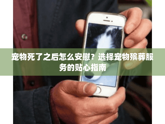 宠物死了之后怎么安慰？选择宠物殡葬服务的贴心指南