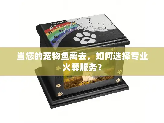 当您的宠物鱼离去,如何选择专业火葬服务? 当您的宠物鱼离去,如何选择专业火葬服务?
