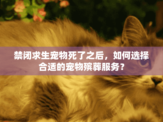 禁闭求生宠物死了之后,如何选择合适的宠物殡葬服务? 禁闭求生宠物死了之后,如何选择合适的宠物殡葬服务?