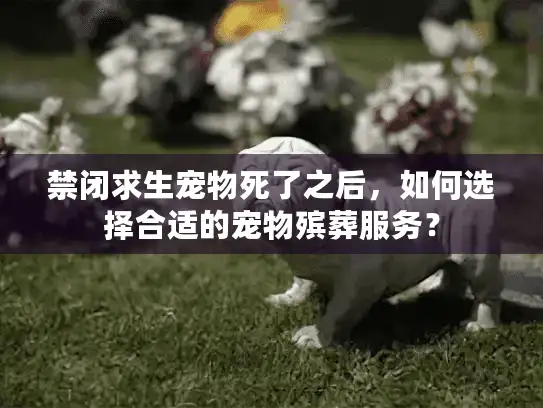 禁闭求生宠物死了之后,如何选择合适的宠物殡葬服务? 禁闭求生宠物死了之后,如何选择合适的宠物殡葬服务?