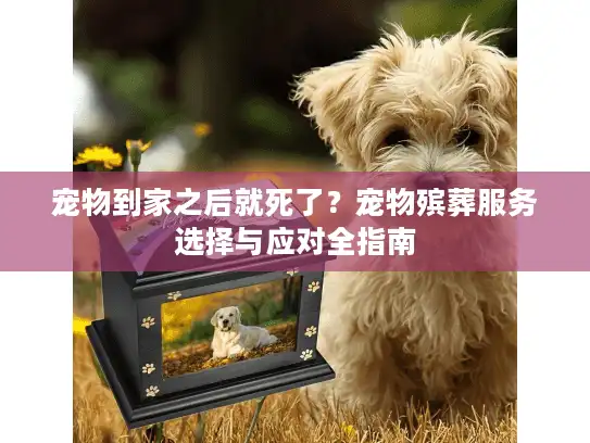 宠物到家之后就死了?宠物殡葬服务选择与应对全指南 宠物到家之后就死了?宠物殡葬服务选择与应对全指南