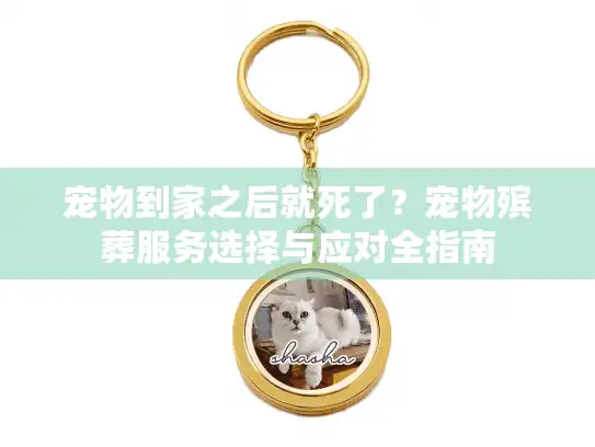 宠物到家之后就死了?宠物殡葬服务选择与应对全指南 宠物到家之后就死了?宠物殡葬服务选择与应对全指南