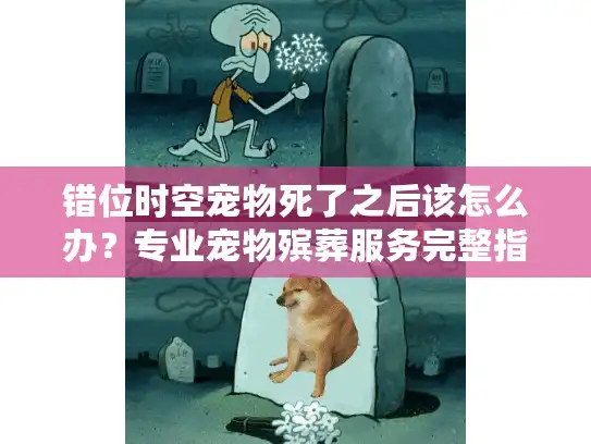 错位时空宠物死了之后该怎么办?专业宠物殡葬服务完整指南 错位时空宠物死了之后该怎么办?专业宠物殡葬服务完整指南