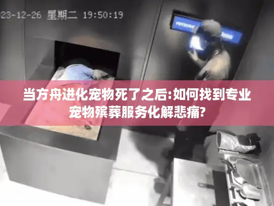 当方舟进化宠物死了之后:如何找到专业宠物殡葬服务化解悲痛?