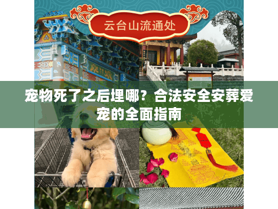 宠物死了之后埋哪？合法安全安葬爱宠的全面指南