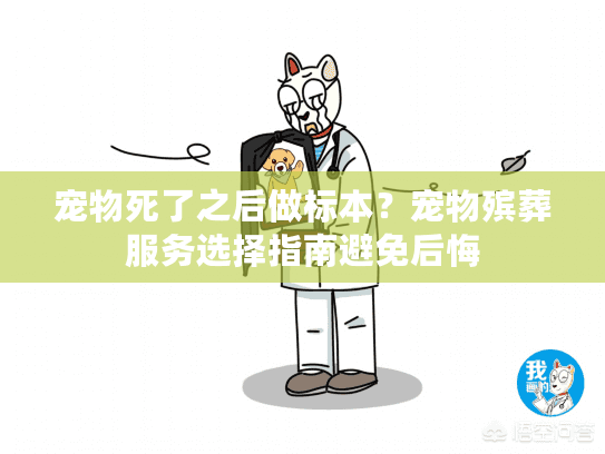 宠物死了之后做标本？宠物殡葬服务选择指南避免后悔