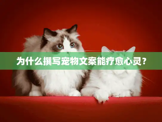 为什么撰写宠物文案能疗愈心灵？