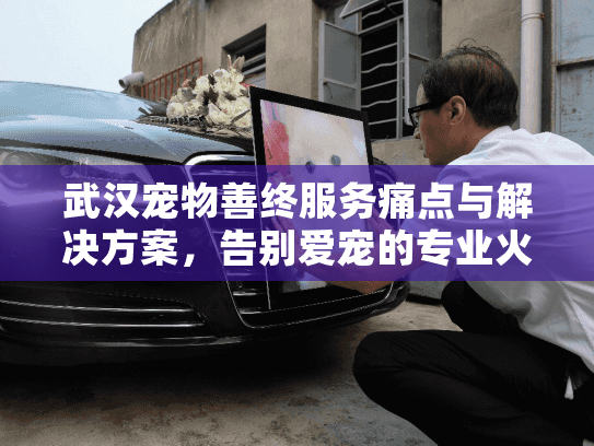 武汉宠物善终服务痛点与解决方案,告别爱宠的专业火化选择指南 武汉宠物善终服务痛点与解决方案,告别爱宠的专业火化选择指南