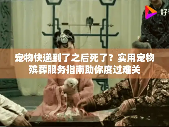 宠物快递到了之后死了？实用宠物殡葬服务指南助你度过难关