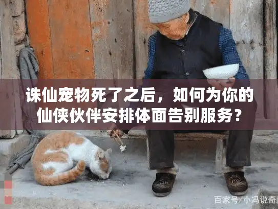 诛仙宠物死了之后，如何为你的仙侠伙伴安排体面告别服务？