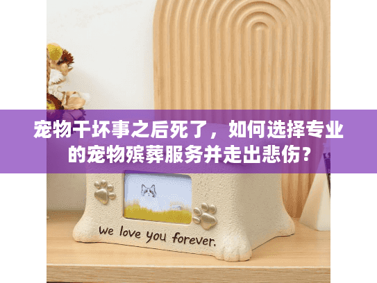 宠物干坏事之后死了，如何选择专业的宠物殡葬服务并走出悲伤？