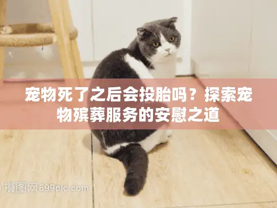 宠物死了之后会投胎吗?探索宠物殡葬服务的安慰之道 宠物死了之后会投胎吗?探索宠物殡葬服务的安慰之道